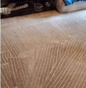 Carpet-after Carpet-after