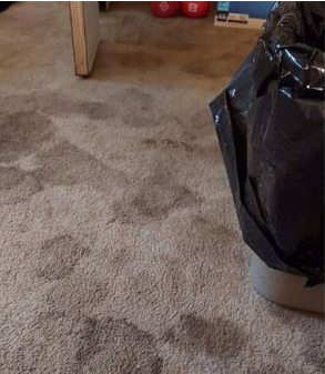 carpet-before carpet-before